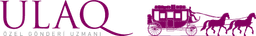 dnsnlogo